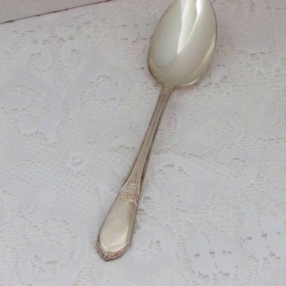 Vintage Serving or Tablespoon Spoon MARY LOU DEVONSHIRE Rogers Silverplate 8.5"